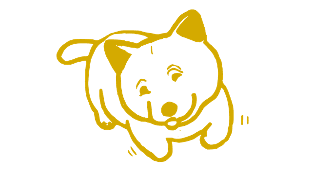 dui 1
