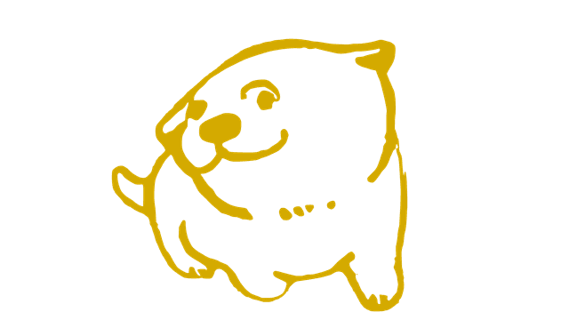 dui 2